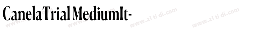 CanelaTrial MediumIt字体转换 CanelaTrial MediumIt字体转换